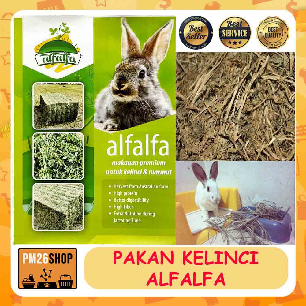 Makanan Kelinci Rumput Hay Alfalfa Pakan Kelinci Rumput Hay Alfalfa