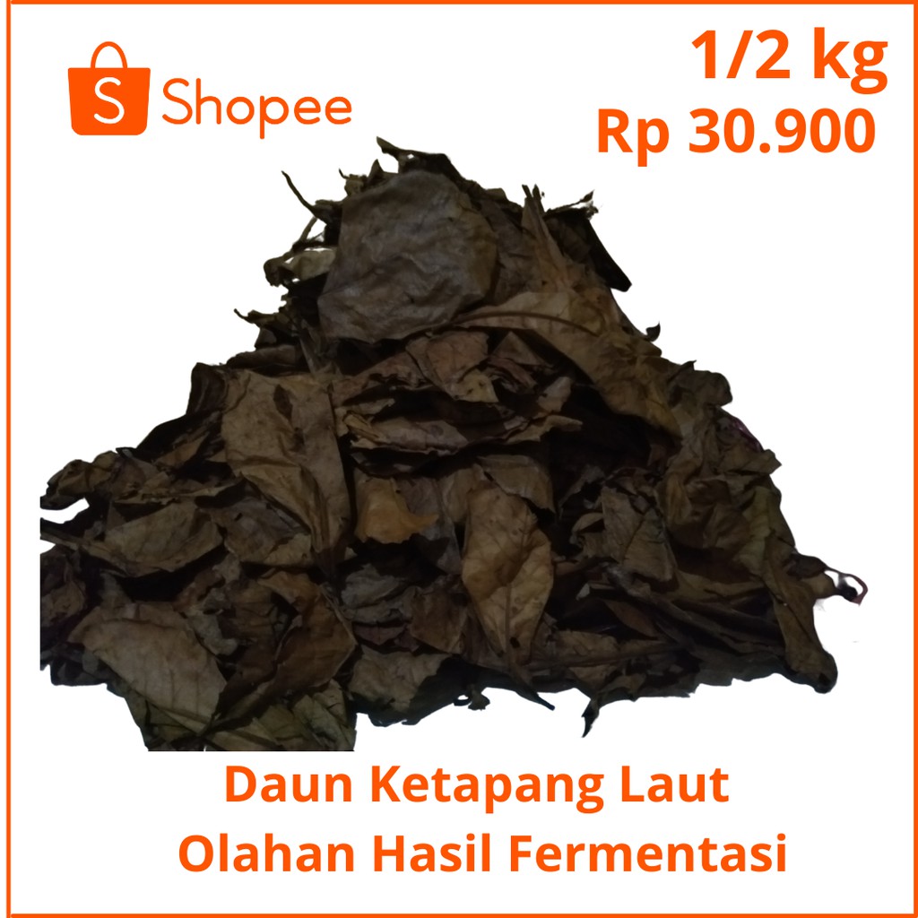 

Daun Ketapang Laut Kering Hasil Fermentasi 1/2 kg