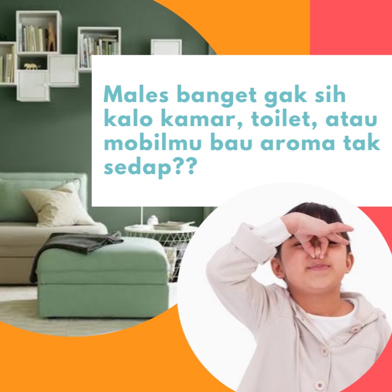 Little Fresh Pengharum Pewangi Mobil Parfum Parfume Farfum Parpum Mobil Gantung Aromaterapi Aromatherapy Mewah Tahan Lama Dan Wangi Enak Gantung Dashboard 10ml