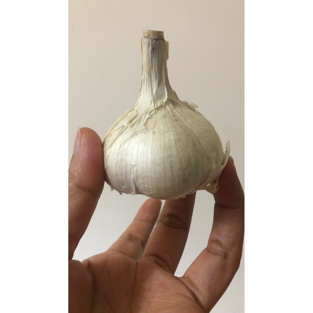 Bawang putih kating 250gram - 1000 gram