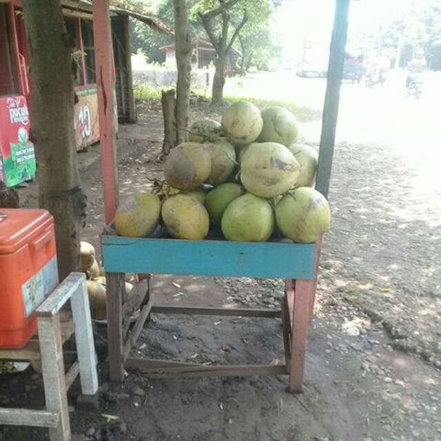

Kelapa Muda