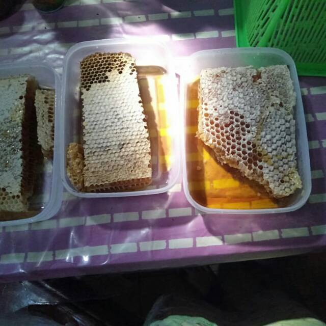 

Madu sarang melifera(tebal)