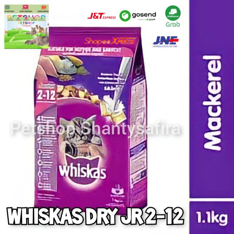 MAKANAN KUCING WHISKAS JUNIOR DRY 1.1 KG/ WHISKAS KERING JUNIOR MACKEREL OCEAN FISH 2-12 bulan