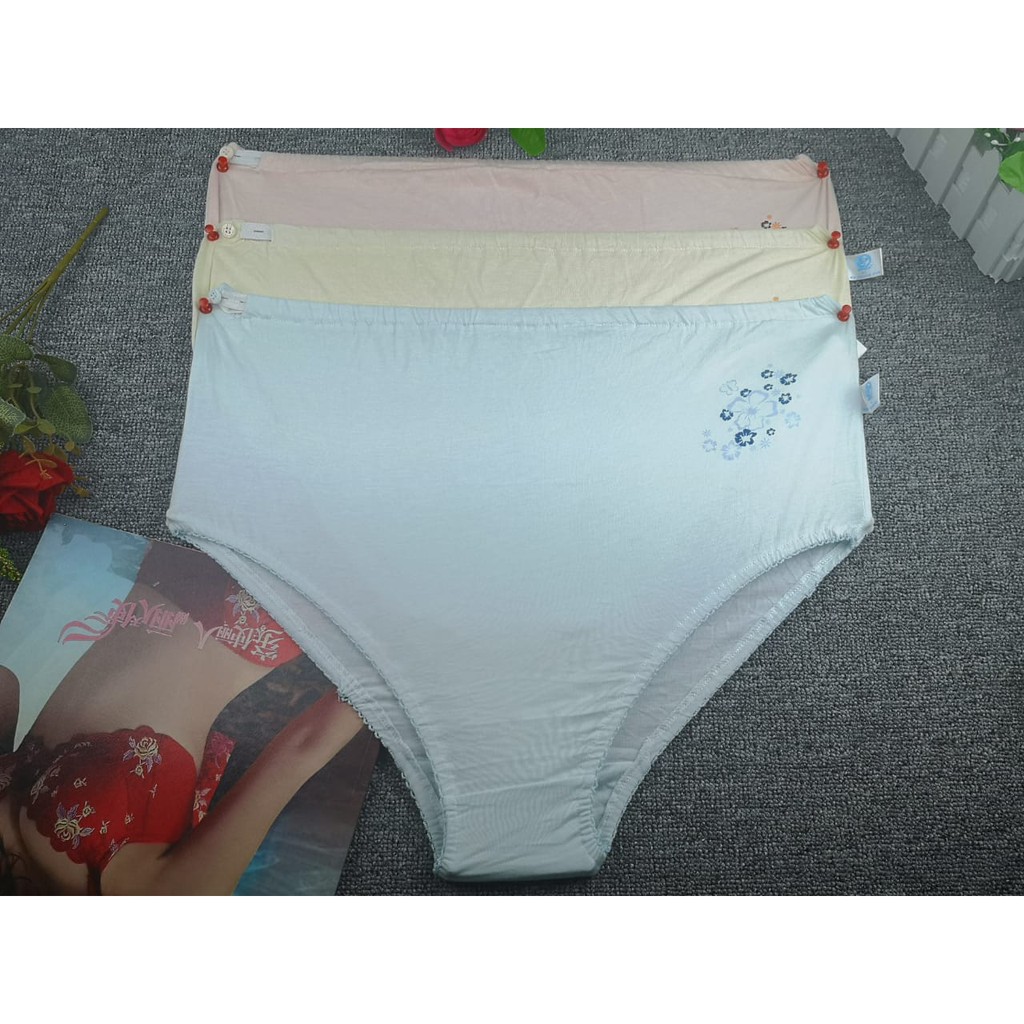 Celana Dalam Ibu Hamil Maternity CD Wanita Import Seri 6082 - Bumil Sepinggul CD Bernapas