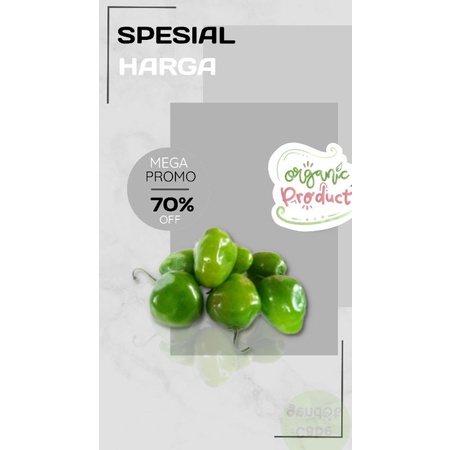 

Cabe Gendot / Habanero Pedas Bagus untuk Diet !!!