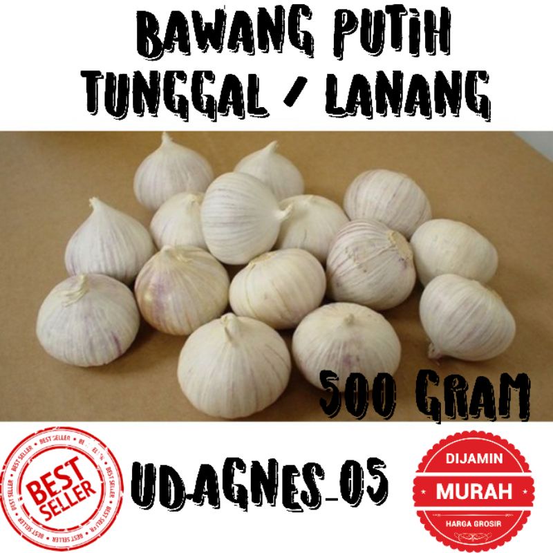 

BAWANG PUTIH TUNGGAL 500GRAM / BAWANG PUTIH LANANG SUPER