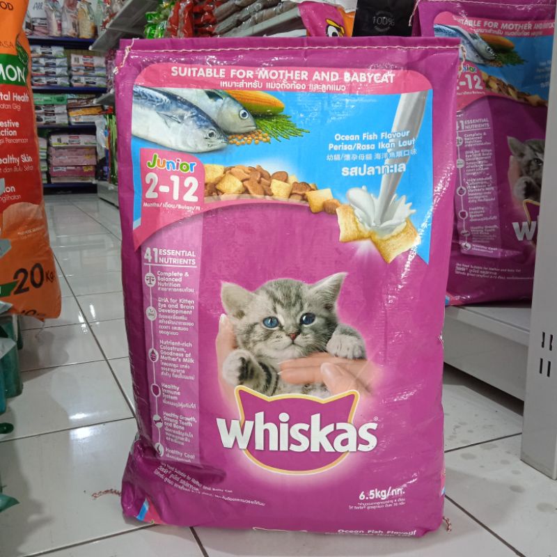 WHISKAS JUNIOR 6,5KG JUNIOR OCEANFISH 6.5 KG - JUNIOR OCEANFIS