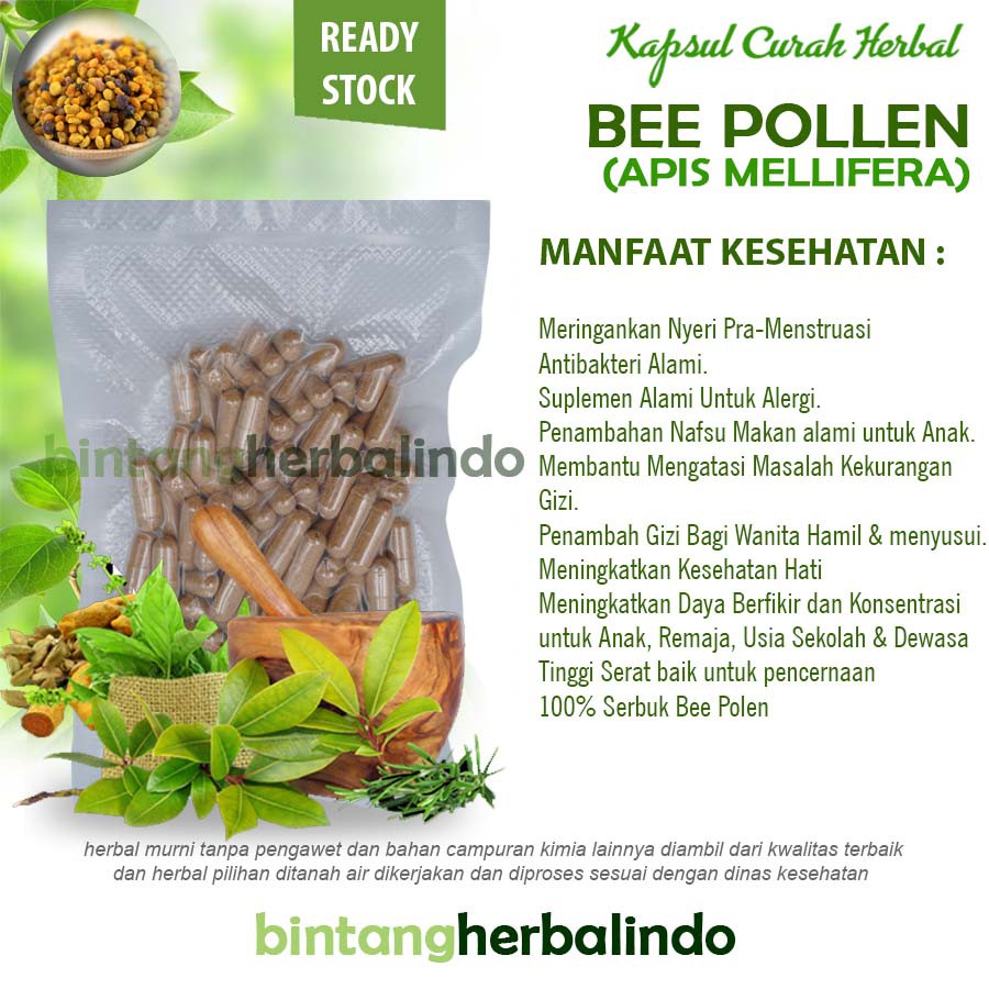 

Kapsul Curah BEEPOLEN BEE POLEN Superfood 200x600 mg Grosir Berkualitas