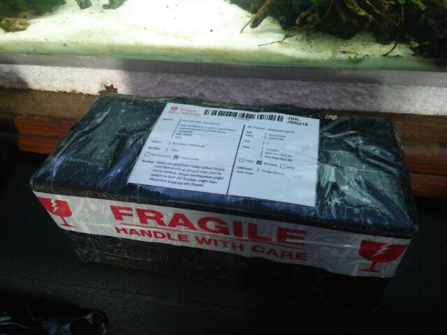 Ferti One Algae Killer Pembasmi Alga