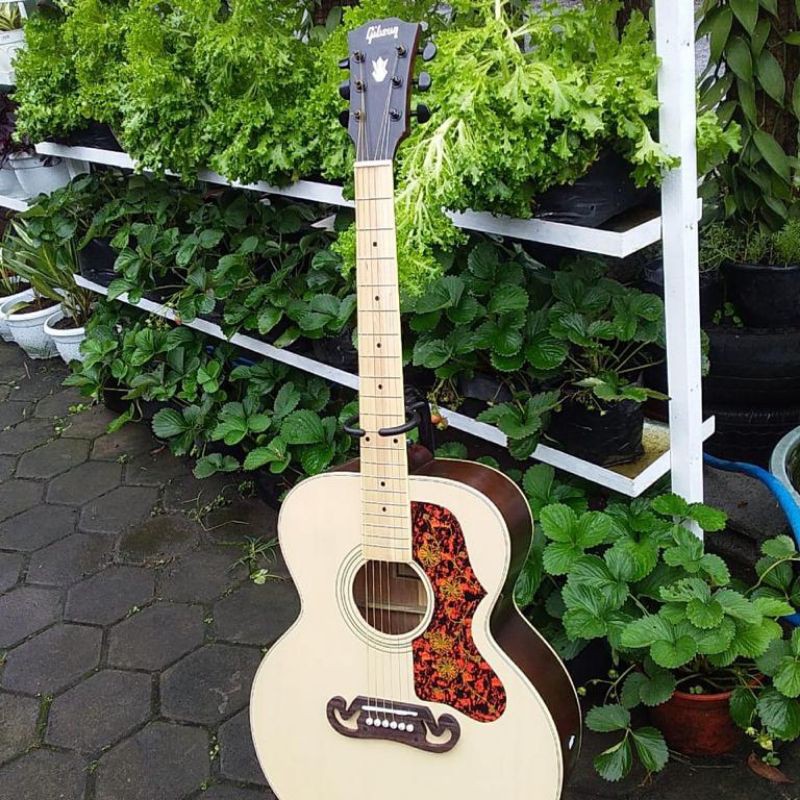 Gitar akustik Gibson Akustik Elektrik custom neck langsung