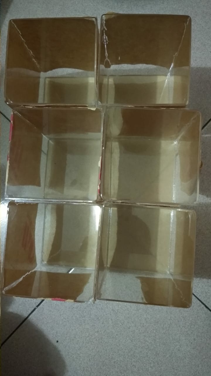 Aquarium Acrylik / Soliter Ikan Cupang, Betta Fish Akrilik, Aquarium Mini.