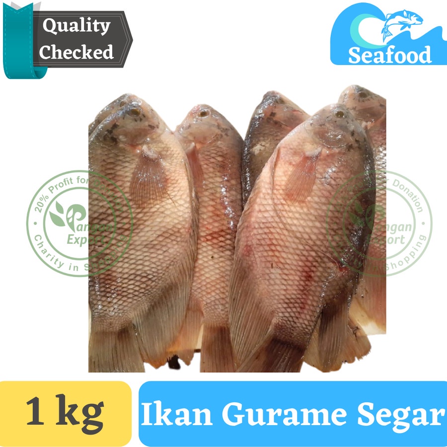 

Ikan Gurame segar , Ikan Grameh , IKan Kali , Gourami