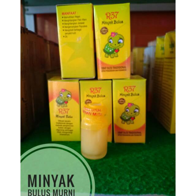 MINYAK BULUS MURNI R37