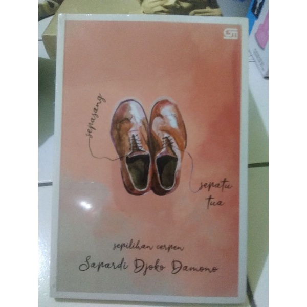 

DISKON Buku original sepasang sepatu tua