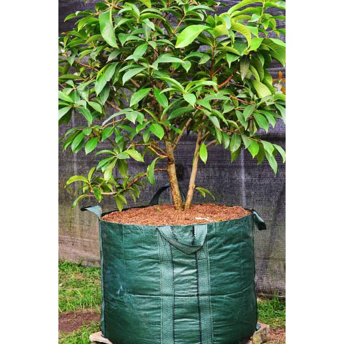 Diskon Planter Bag 300 Liter Plastik Polybag Pot Bibit Tanaman Buah / Bonsai #_*