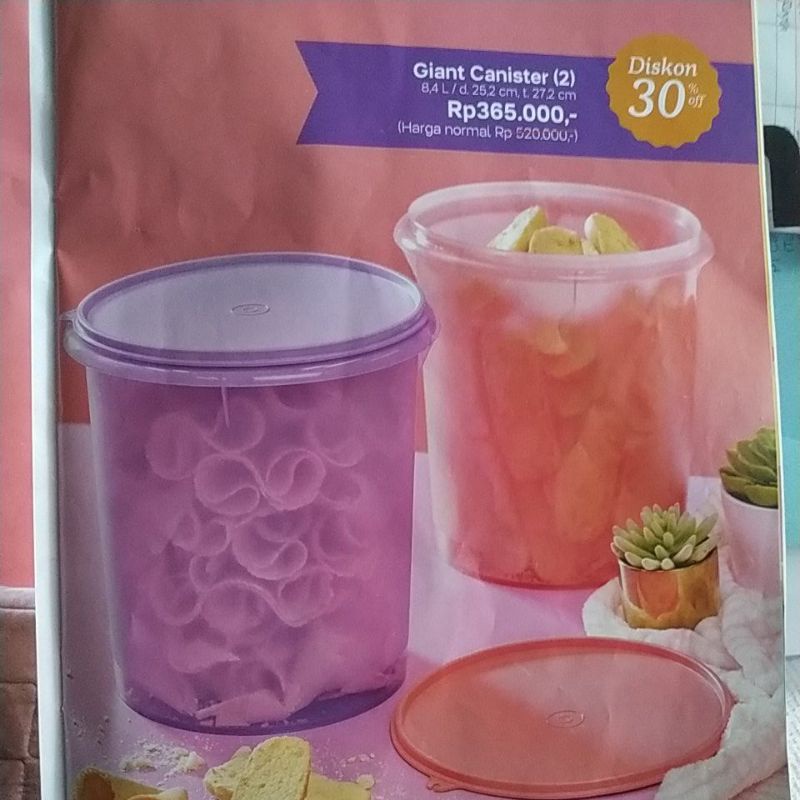 Jual Giant Canister / Toples kerupuk tupperware peach ungu Shopee