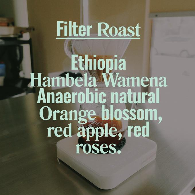 

ETHIOPIA HAMBELA ANAEROBIC NATURAL - FILTER