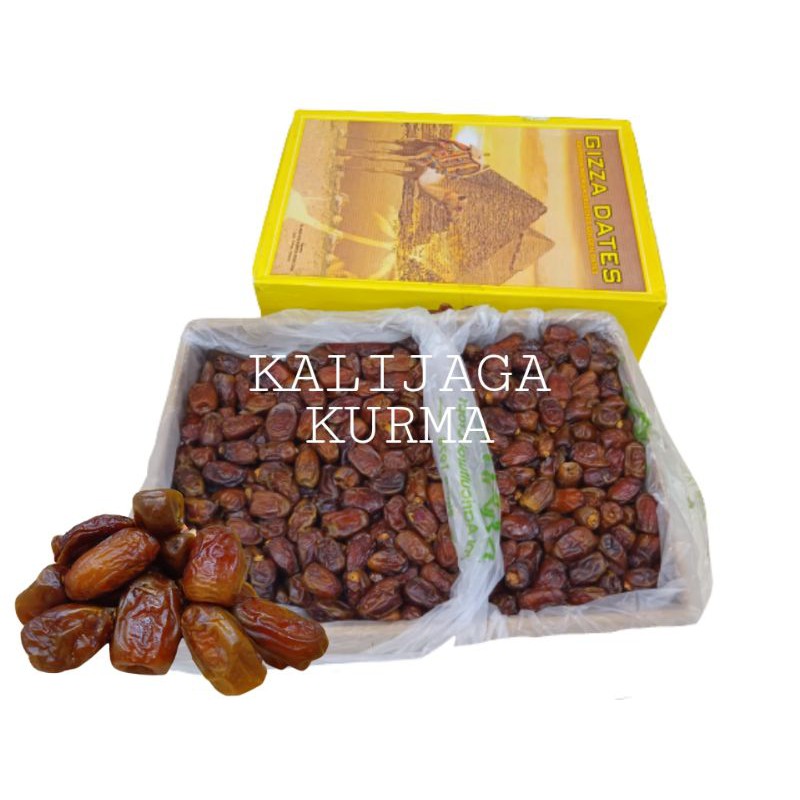 kurma madu mesir gizza dates 10kg/kurma mesir 10kg murah