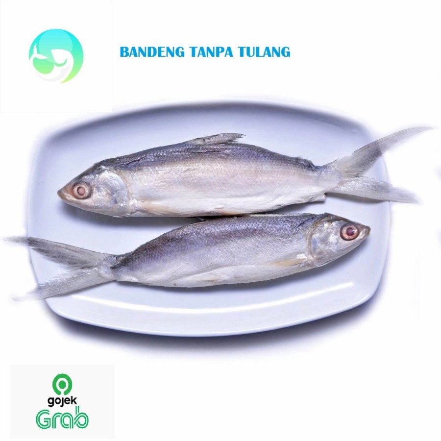 

Bandeng Tanpa Tulang 1kg | 1 kg