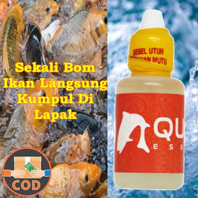 Essen Pengumpul Ikan Mas- Essen Bom Ikan- Essen Aquatic Pengumpul Ikan di Lapak Original