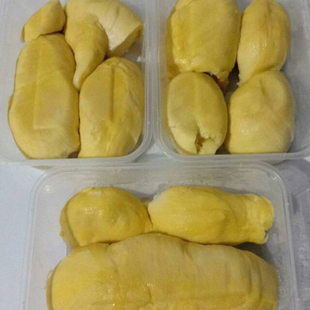 Durian montong palu