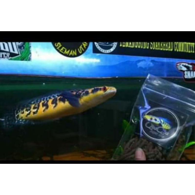 Pelet ikan qiu qiu super josss