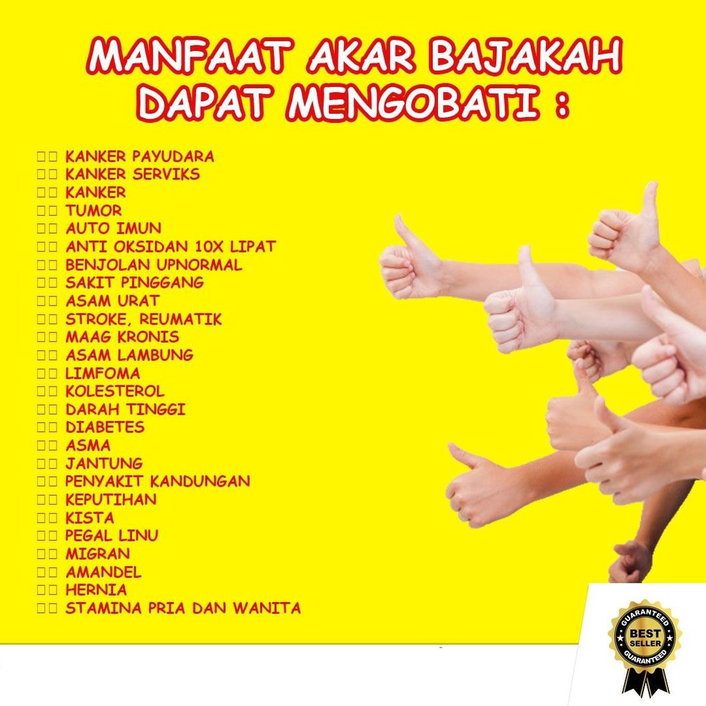 Bajakah Akar Kuning Asli Hutan kalimantan 250gr Akar Bajakah obat diabetes