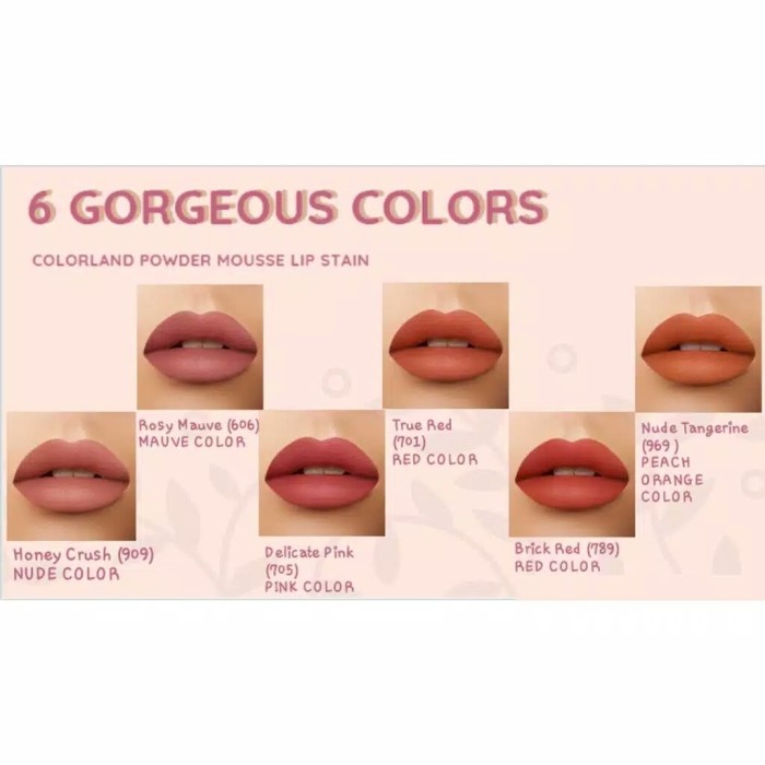 YOU COLORLAND Powder Mousse Lip Stain