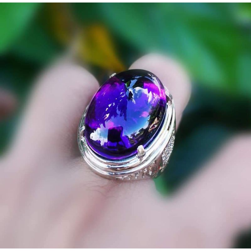 KECUBUNG BUNGUR TANJUNG BINTANG