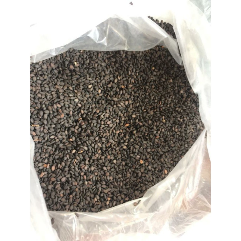 

Habbatussauda/Jintan Hitam