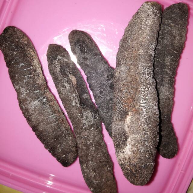 Tanpa ongkir 100g/Teripang pasir hitam ukuran 6-14+cm
