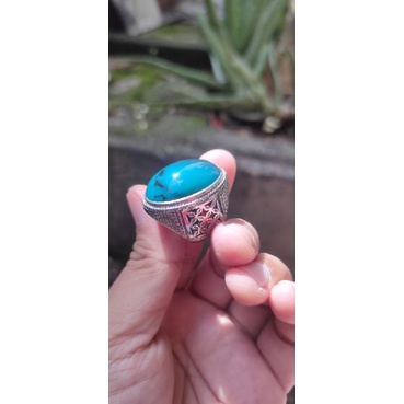 Bacan doko majiko coklat asli natural