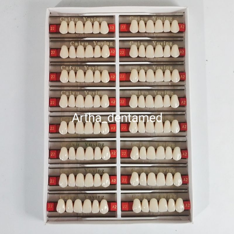 DENTAL GIGI PALSU / GIGI TIRUAN ANTERIOR UPPER DEPAN ATAS DAN POSTERIOR BELAKANG GERAHAM (1 BOX)