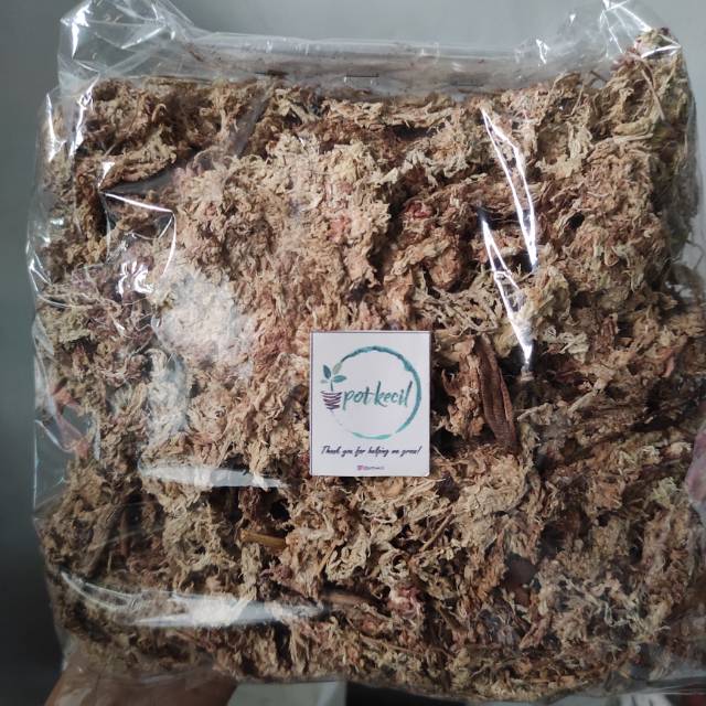 Spaghnum Moss / Media Tanam Spaghnum Moss / Media Tanam Moss