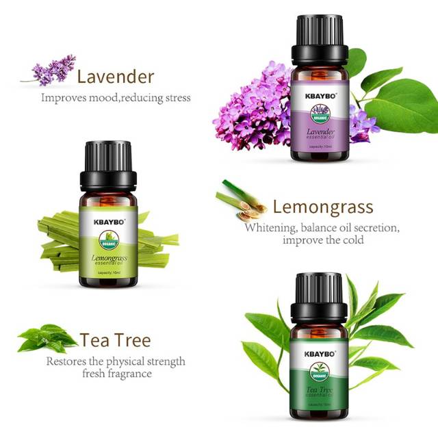 Mall 6 Botol 10 ml HUMI Pure Essential Fragrance Oils Minyak Aromatherapy Diffusers 10ml 6 PCS Taffware  K-E