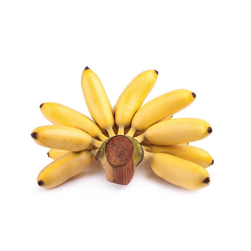 

PisangMasKirana