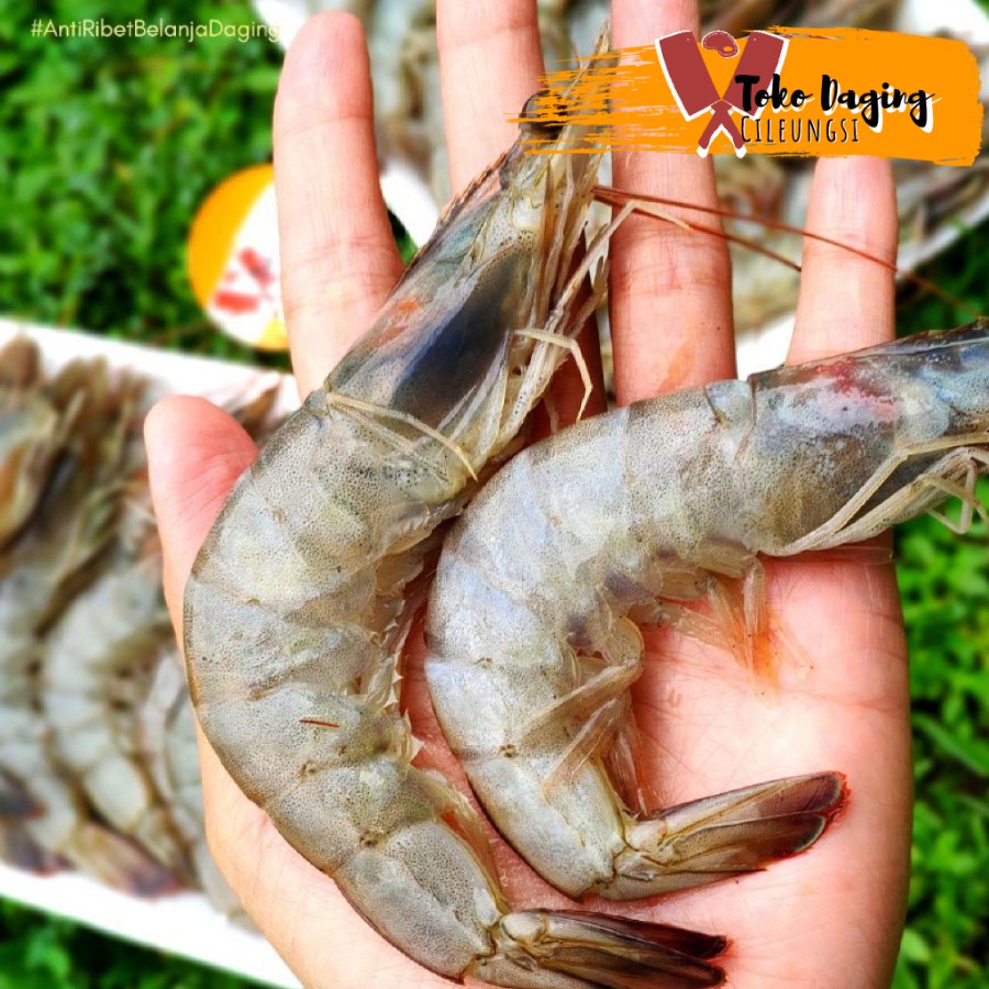 

Udang Vanamee 500 gr ~ Toko Daging Cileungsi