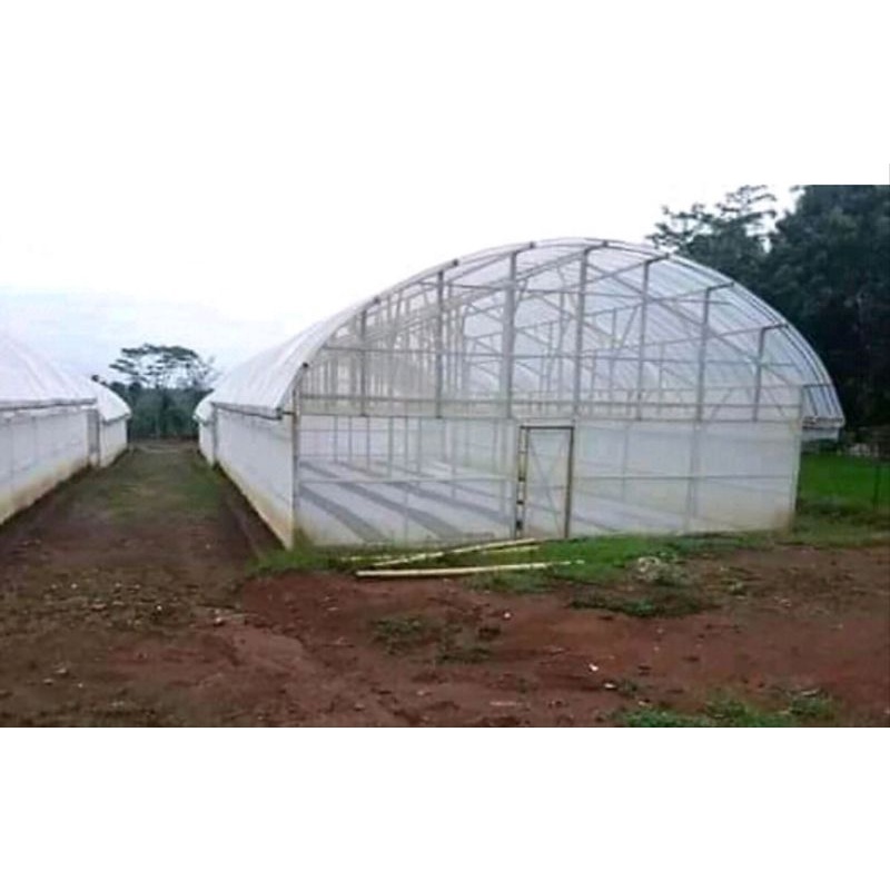 plastik UV lebar 4m x panjang 35m 200micron