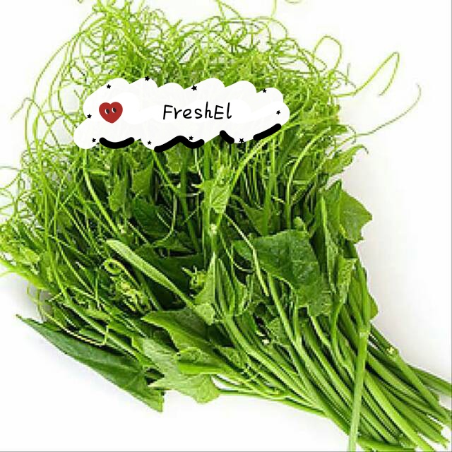 

FreshEl - PUCUK LABU 1 IKAT