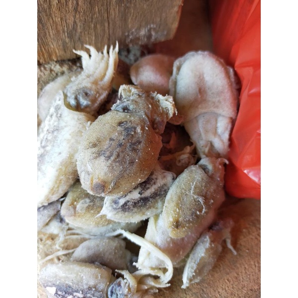 Cumi bekutak/sotong asin 1kg