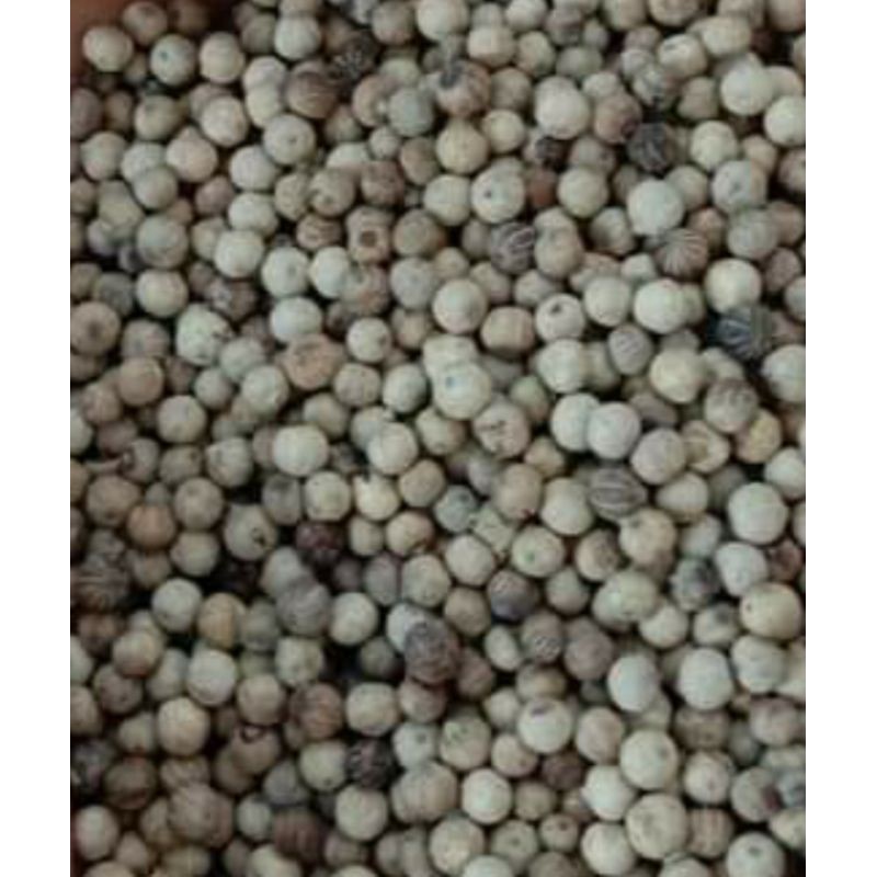 

Biji Lada Putih 100gram