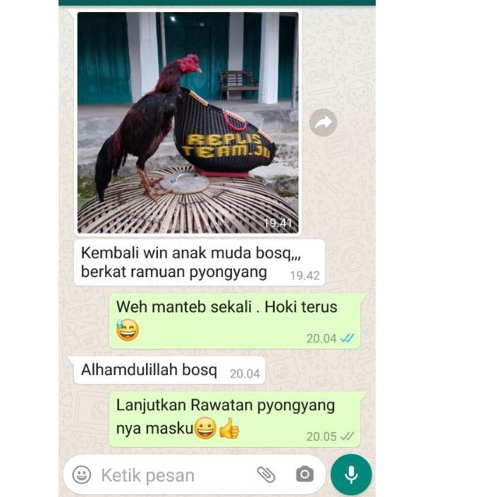 limited STOCKJamu Ayam Aduan Terbaik Doping Ayam Aduan Jamu Pyongyang|SQ4