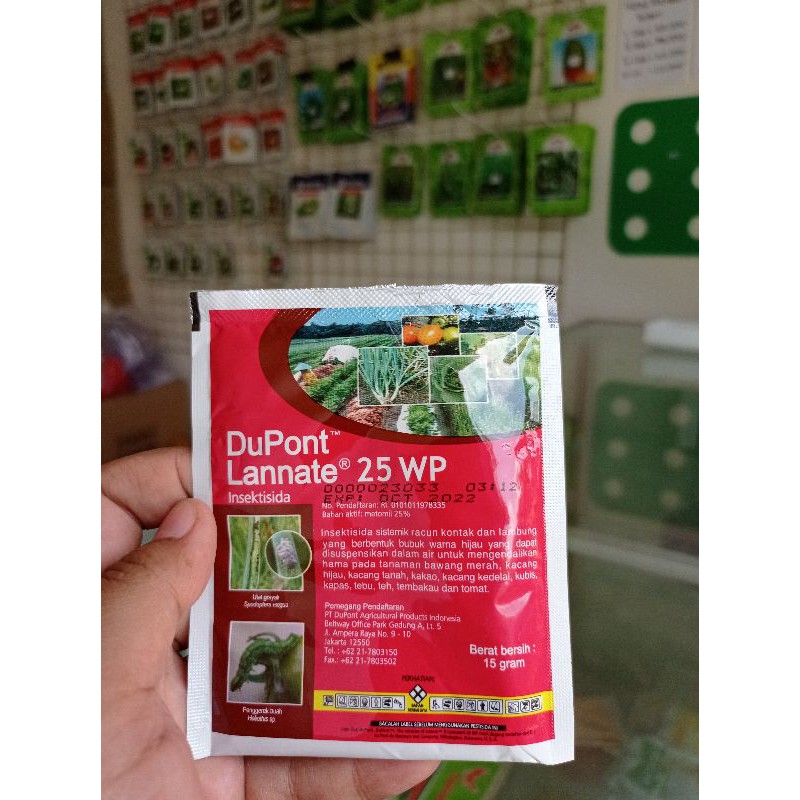 INSEKTISIDA DUPONT LANNATE 25 WP