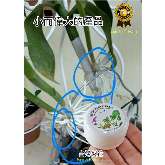 Keikivick taiwan 5g, keikivick anggrek 5g, bud breaker anggrek salep, hormon tunas tj aglonema, sale