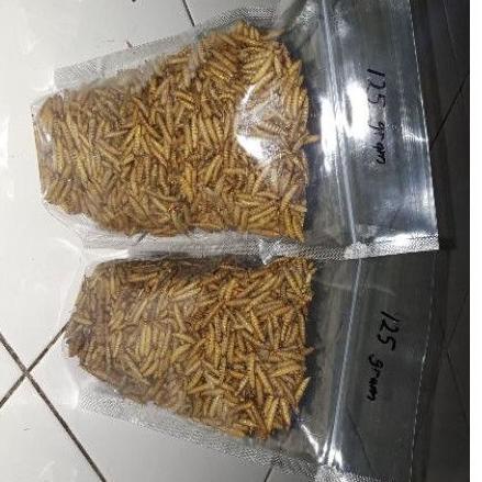 

Terbaru maggot kering dried maggot kualitas istimewa 250gr, 500gr ₽