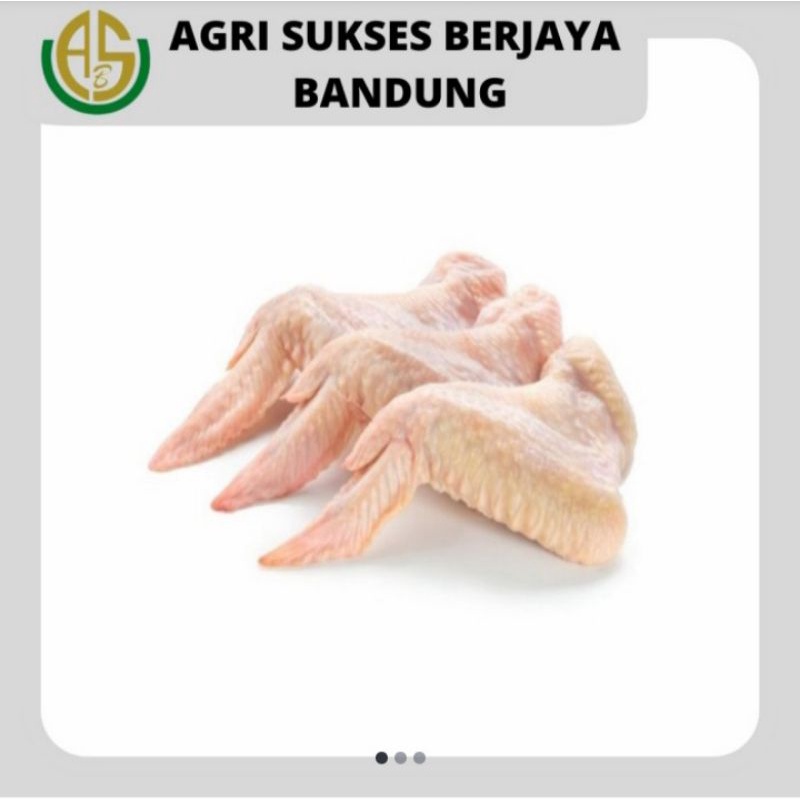 

Sayap Ayam broiler fresh /chicken wings - 500gr