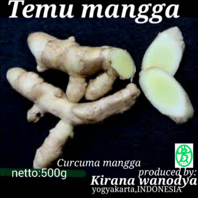 

Temu Mangga Bubuk 500g - Kirana