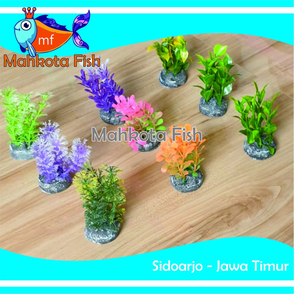 Hiasan Aquarium TANAMAN 4 SISI (CAMPUR) | Bunga Plastik Aquarium | Bunga Hiasan Aquarium | Tanaman Hias Aquarium