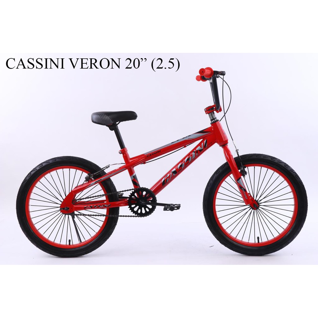 Sepeda BMX 20 CAsini Venon Fat Bike ban 2.5