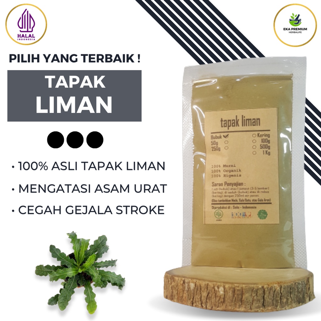 

TAPAK LIMAN BUBUK Kering Asli Jamu Tradisional Organik Ekstrak Rempah Rempah Murni Tanaman Daun Halus Ramuan Herbal Masak Dapur Elephantopus Scaber